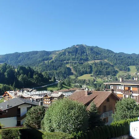 Apartment Proche Village, Aux Pistes Et Espace Aquatique, 2 Pieces + Coin Nuit, Garage, Animaux Admis - Fr-1-437-31 *