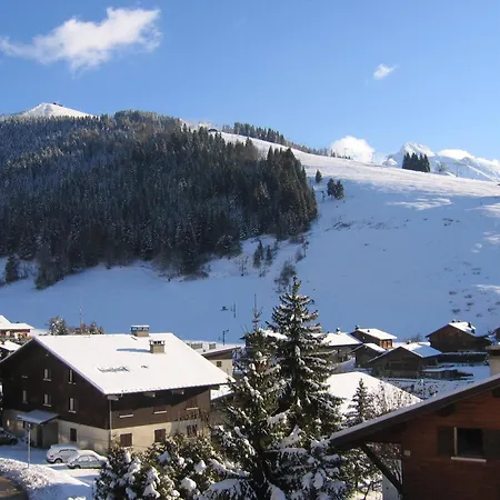 Proche Village, Aux Pistes Et Espace Aquatique, 2 Pieces + Coin Nuit, Garage, Animaux Admis - Fr-1-437-31 La Clusaz
